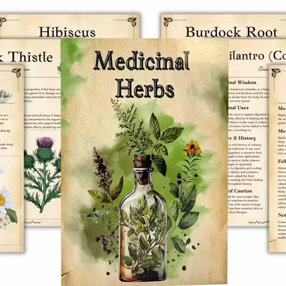 Herbal And Wellness - Erbe medicinali: guida visiva per identificare
